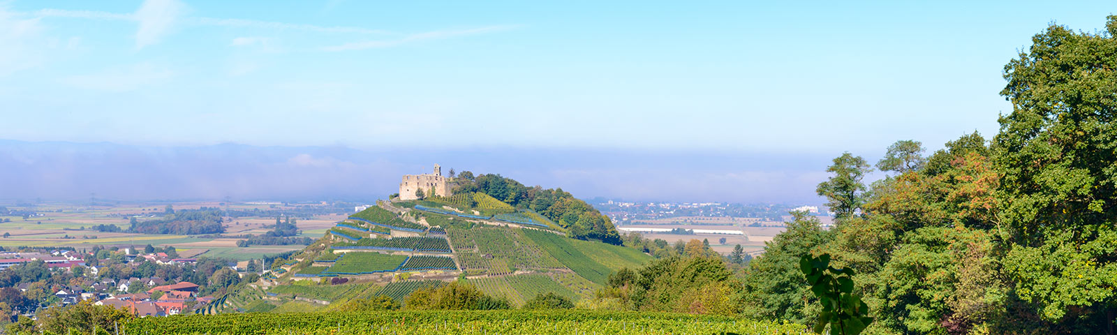 Lampp Bestattungsinstitut in Staufen